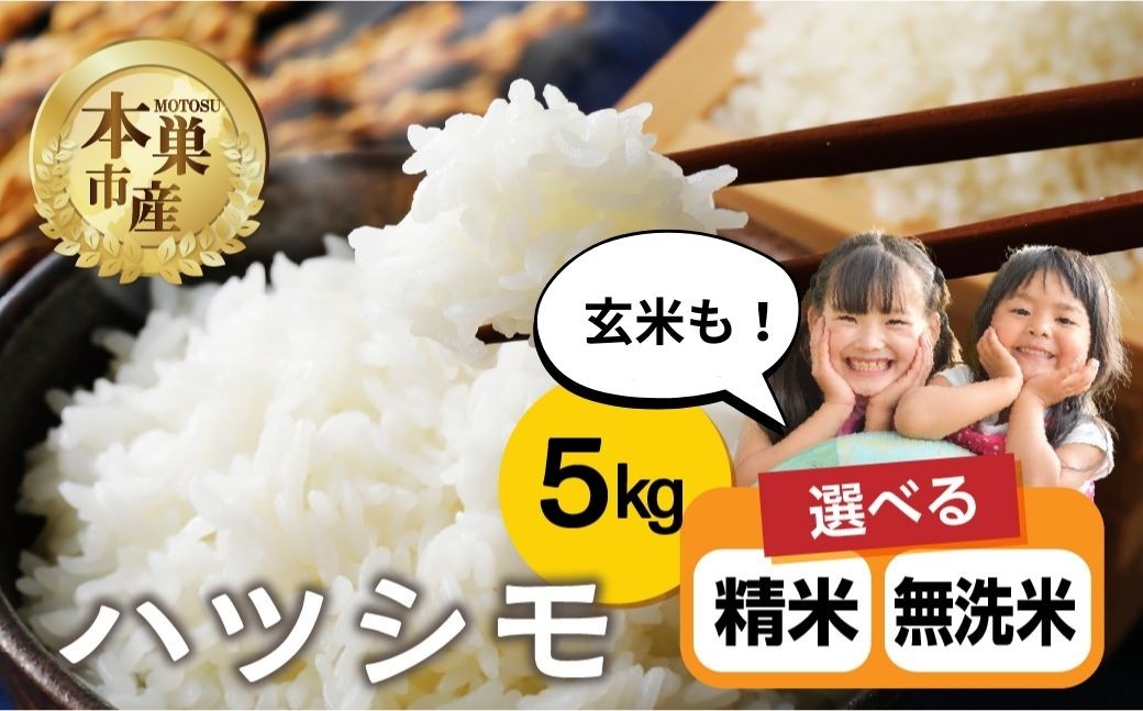 
                  令和7年産 選べる 精米 or 無洗米 or 玄米 はつしも 5kg 米 ハツシモ こめ ごはん 白米 岐阜県 本巣市 お米 精米 無洗米 甘い 和食 寿司 お茶漬け 本巣市 10000円 11000円 15000円 くどみフルーツ農園
                