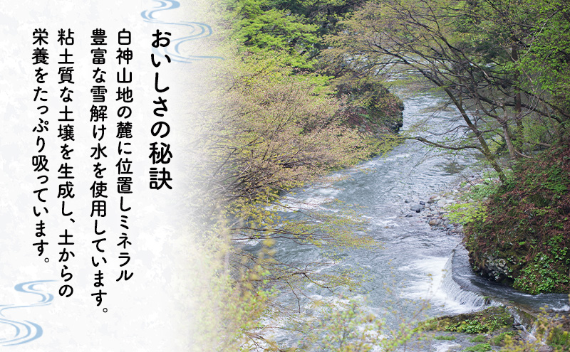 令和7年度産 あきたこまち 米 2kg 精米 白米 秋田県 能代市 ブランド米 甘み 粘り もっちり