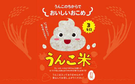うんこ米 精白米 3kg ／  夢つくし 白米 無洗米 米 お米 国産 福岡県産 令和6年産