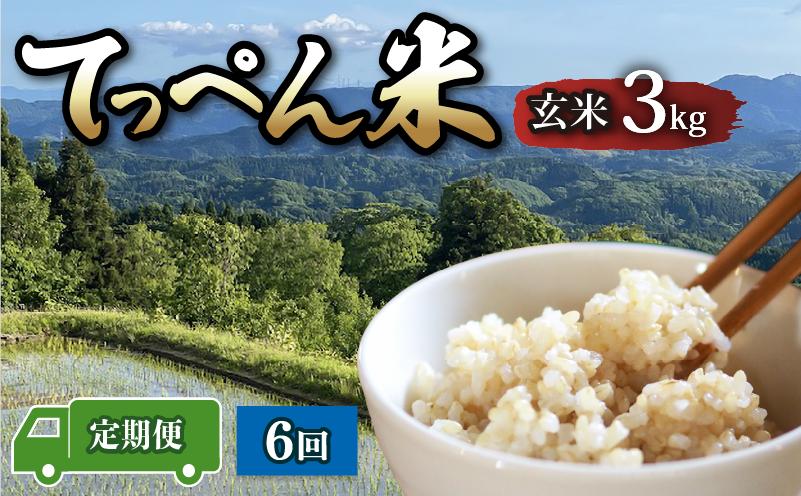 
                  【新米先行予約】 こしひかり 令和8年産 玄米 3kg 6回 食味ランクS 最高評価 定期便 計 18kg こだわり もっちり 甘み genmai gennmai ※ ご飯 ごはん R8 2026年産 コシヒカリ おいしい 美味しい おにぎり 神子原てっぺん米 神子原頂上米 石川県 石川 能登 羽咋 支援 応援 復興応援 復興支援 お米 米 おこめ こめ kome okome ふるさと納税米 
                
