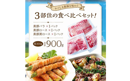 「かごしま黒豚さつま」スライス3種900gセット【配送不可地域：離島】