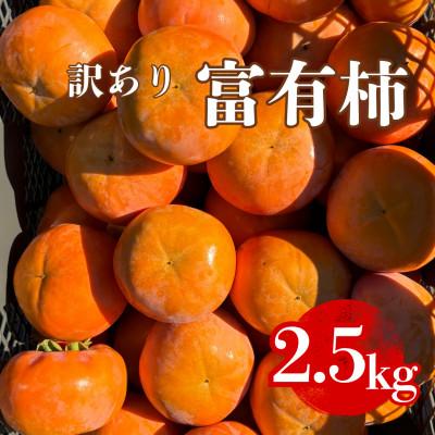 ふるさと納税 瑞穂市 岐阜県瑞穂市産 訳あり富有柿 2.5kg