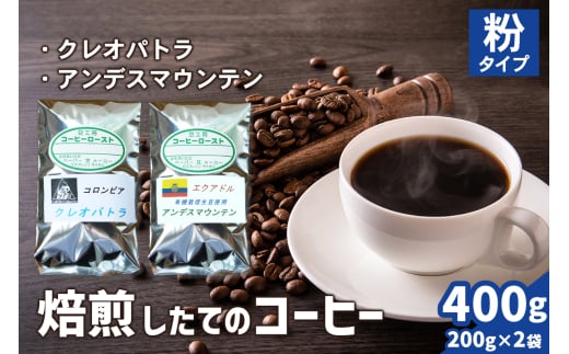 焙煎したてのコーヒー豆 2袋 (クレオパトラ・アンデスマウンテン)【粉】[0344]