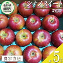 【ふるさと納税】 りんご シナノスイート 家庭用 5kg 松澤農園 沖縄県への配送不可 令和7年度収穫分 長野県 飯綱町 〔 信州 果物 フルーツ リンゴ 林檎 長野 12000円 予約 農家直送 〕発送時期：2025年10月下旬〜2025年11月上旬 {**}