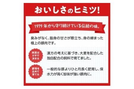 もう食べた？尾鈴豚セット バラエティ セット 宮崎県川南町 豚肉