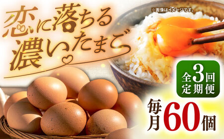 【全3回定期便】【特選卵】素直な恋たまご 60個 [JAP003]