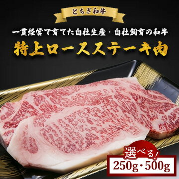 【ふるさと納税】【選べる容量】とちぎ和牛 特上ロースステーキ肉