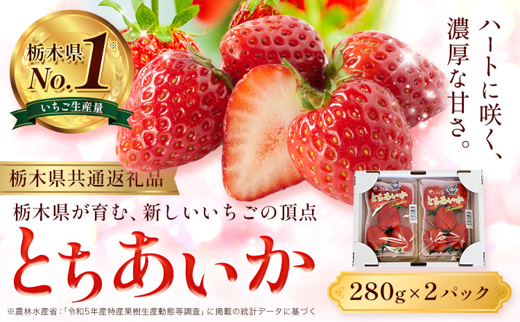 いちご とちあいか 2パック 560g 《2025年12月下旬-2026年3月上旬頃出荷》 JAおやま 栃木県 野木町 イチゴ 苺 果物 フルーツ ハート型 贈答用 プレゼント スイーツ ケーキ 手作り トッピング ハート【栃木県共通返礼品】
