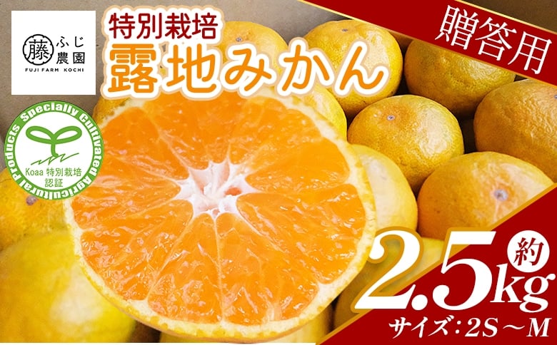
            【特別栽培みかん】ふじ農園の露地みかん 贈答用 2.5kg (2S～M) - みかん 温州みかん 国産 蜜柑 ミカン 柑橘 果物 フルーツ 贈答 プレゼント ギフト 贈り物 ふじ農園 高知県 香南市 常温 fn-0001
          
