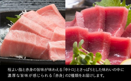 本まぐろ 中トロ 約500g・赤身 約600gセット 鮪 海鮮丼 刺し身 刺身 盛り合わせ 冷凍 魚の刺身 大分県産 九州産 津久見市 国産【tsu000309】