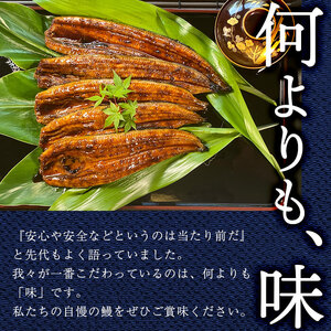 うなぎの柳澤 流水桜うなぎの蒲焼き 計3尾＜計360g＞ うなぎ 鰻 ウナギ 国産 鹿児島県産 九州産 蒲焼き 冷凍 うな重 ひつまぶし a4-096