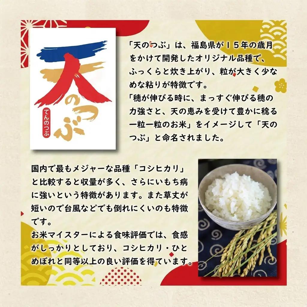 天のつぶ 福島県郡山産 単一原料米 精米 天のつぶ【10kg】