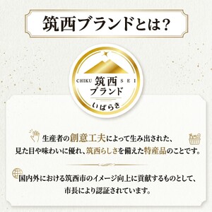梨 あきづき 10kg 2026年産 先行予約 梨