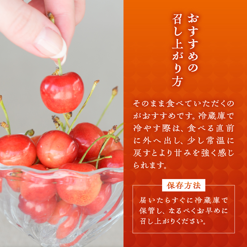 【宿沢フルーツ農園】のさくらんぼ 佐藤錦500g 化粧箱 バラ詰め【2024年発送】（SF）B12-144