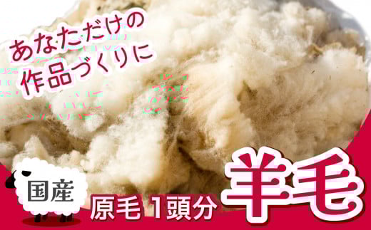 【先行予約】国産 羊毛 原毛 ( 一頭分 2〜3kg ) フリース フェルト クラフト ホームスパン 期間限定