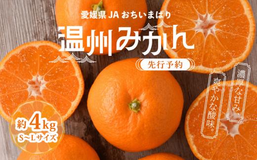 ＜先行予約＞瀬戸内の温州みかん4kg　秀L～S | みかん 愛媛みかん 愛媛ミカン 愛媛県産 愛媛 柑橘 柑橘類 みかん ミカン 蜜柑 果物 フルーツ 国産フルーツ 国産果物 旬の果物 産地直送 お取り寄せ 愛媛県 上島町