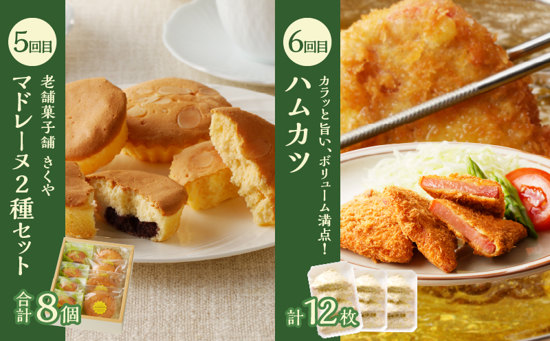 【10月1日より寄附額改定】≪12か月お楽しみ定期便≫都農町定期便(梅) 肉 加工品 デザート 国産_T999-0082