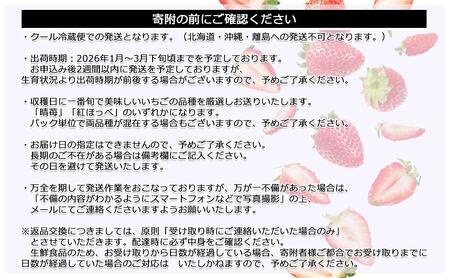 鏡野町産 朝採れ！旬の完熟いちご 300g×2パック＜2026年1月～3月発送＞【038-a003】