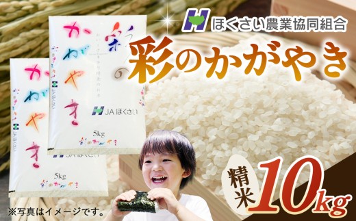 行田市産「彩のかがやき」精米10kg（5kg×2） ／ お米 白米 ごはん 埼玉県 特産品 No.296