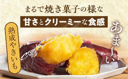 熟成やきいも＆熟成紫蜜いもの食べ比べセット1㎏ 紫芋 新品種 濃厚な甘さ