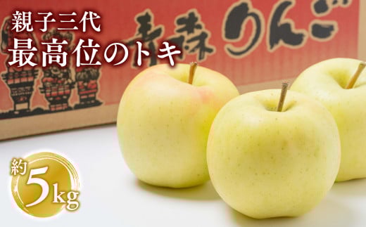 【10月発送】親子三代最高位のトキ約5kg【全国ふじコンテスト最高賞受賞農園 青森県 平川市 釈迦のりんご園】トキ  全国ふじコンテスト最高賞受賞 青森りんご 平川市広船産 家庭用 リンゴ りんご リンゴ 林檎 フルーツ 果物 平川市 青森 