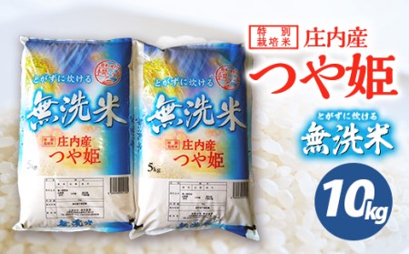 SE0563　令和7年産【無洗米】庄内産 特別栽培米 つや姫　10kg(5kg×2袋) SA