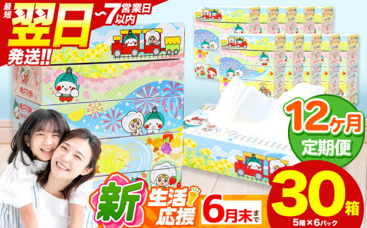 最短翌日発送 人気急上昇 高評価 ティッシュ BOX  【 定期便12回 】5箱 × 6パック  |  限定 最大 真岡市 オリジナル 300枚 150組 5箱 10箱 30箱 60箱 定期便 便利 日用品 雑貨 必需品 紙 柔らかい なめらか 蒸気機関車 SL 栃木県 真岡市 PR 災害 備蓄 大容量
