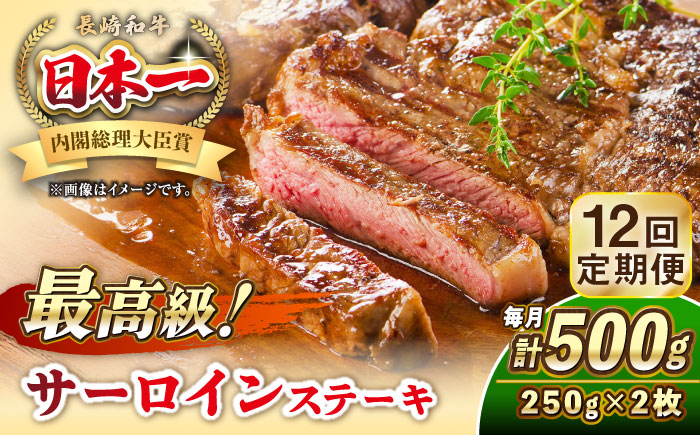 【全12回定期便】長崎和牛 サーロイン ステーキ 250g×2 《壱岐市》【KRAZY MEAT】 A5 A4 冷凍 和牛 肉 牛肉 BBQ [JER123]