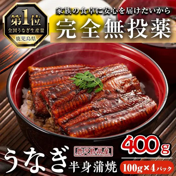 うなぎ 無投薬 鹿児島県産  (100g×4パック) うなぎ【西日本養鰻】 A585