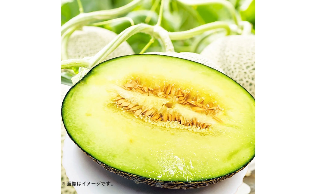 【2027年5月上旬～7月下旬発送予定】肥後グリーンメロン 4〜6玉 L以上（約7kg）