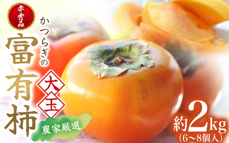先行予約 富有柿 赤秀品大玉6個～8個入 こだわり農家厳選【2026年10月末から11月末頃順次発送】| 和歌山 柿 かき フルーツ 果物 くだもの 刀根 種無し【kgr043】