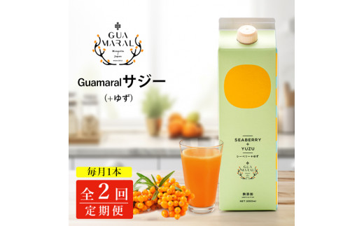 【定期便2カ月】サジー グアマラルサジー＋ゆず 1000ml　毎月1本2カ月コース｜サジージュース サジー シーベリー 沙棘 グアマラル 健康ドリンク 健康 美容 栄養 果汁 鉄分補給 栄養補給 健康食品 ギフト 贈答 贈り物 プレゼント お祝 ご褒美 記念日 記念品 お中元 お歳暮 _DX22