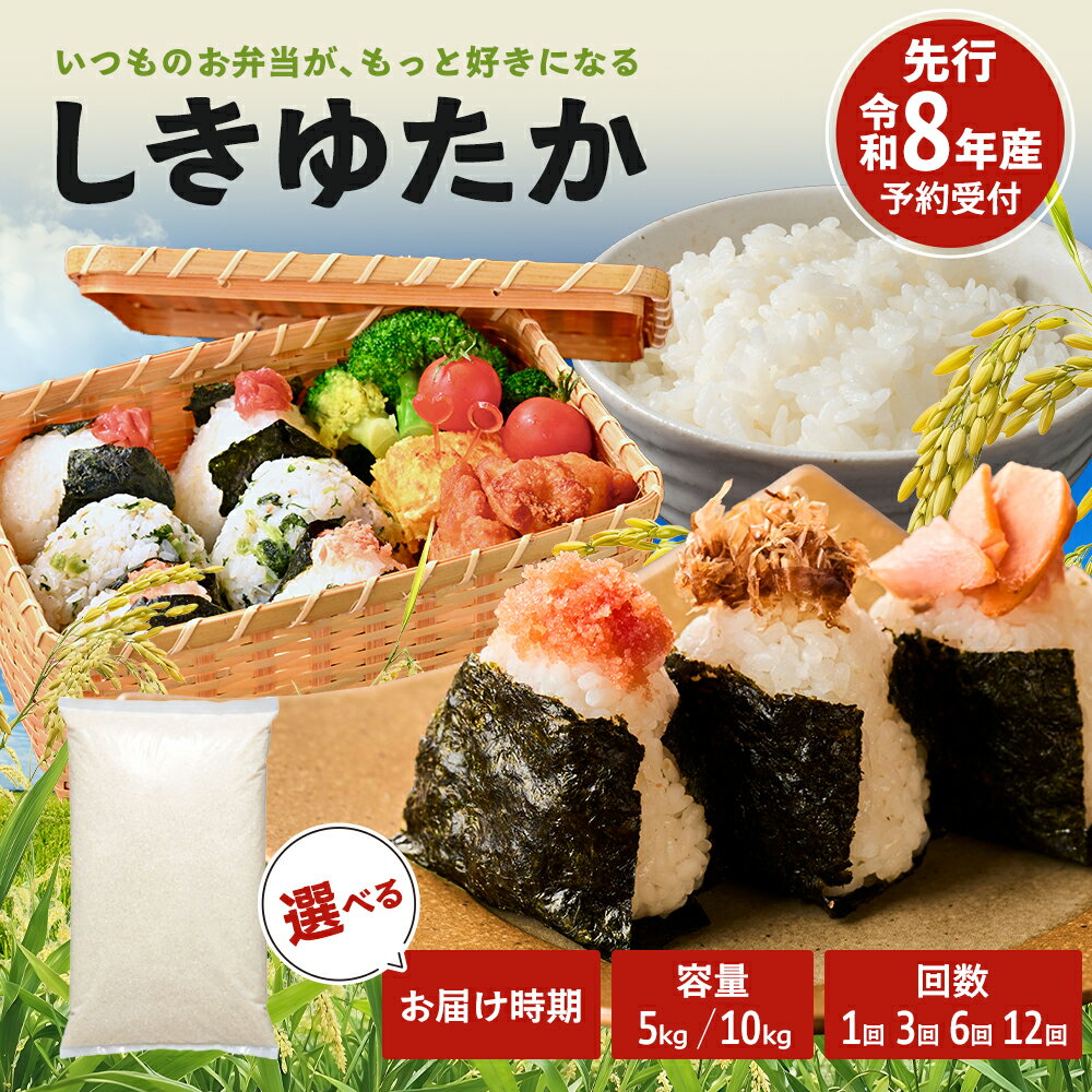 【ふるさと納税】米 令和8年産 先行受付 しきゆたか 白米 5kg 10kg 定期便 選べる内容量・お届け月 エコ おいしい お米 事業者支援 農業支援 精米 ごはん ご飯 白飯 単一原料米　お届け：2026年11月以降順次発送予定