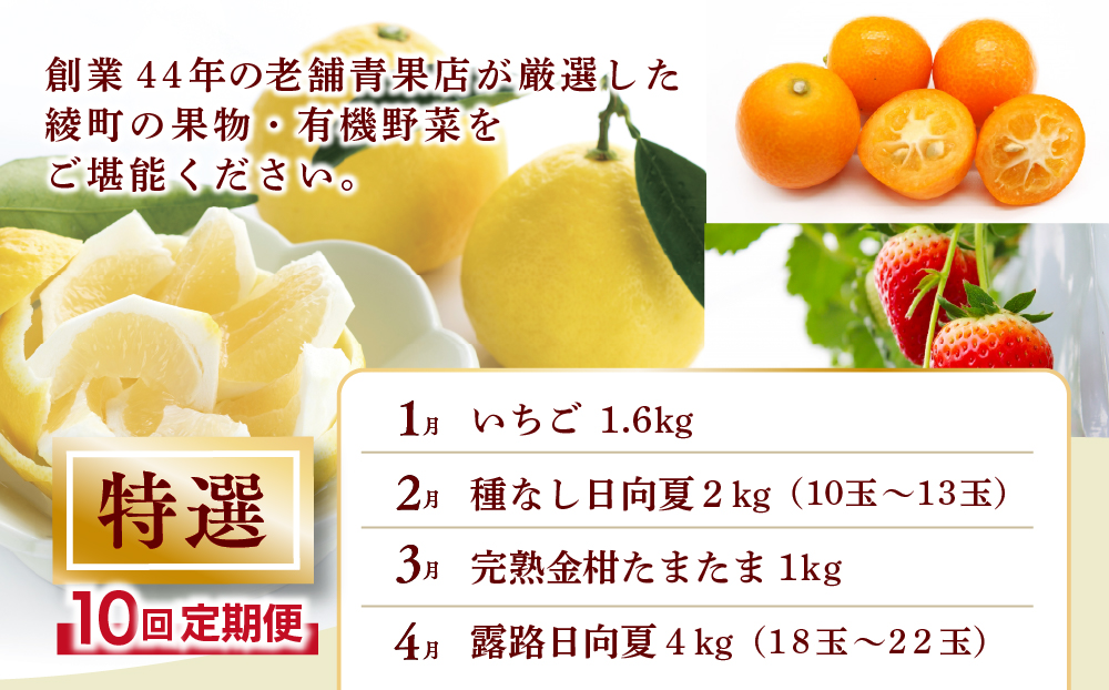 【全10回お届け】特選！！宮崎県綾町産 果物・野菜定期便 [Y21]_A0113-004