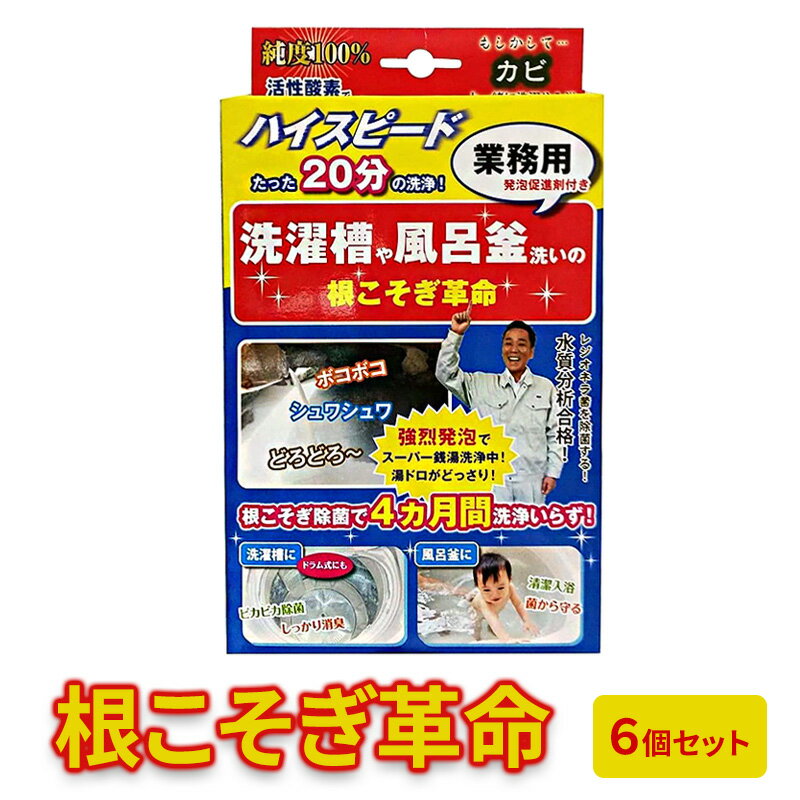 【ふるさと納税】根こそぎ革命(業務用)×6個セット 風呂釜 や 洗濯槽 洗い
