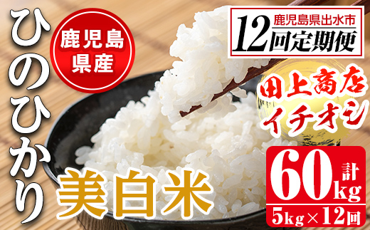 i881-B ＜定期便・計12回(連続)＞≪毎月数量限定≫鹿児島県産米ひのひかり 美白米(計60kg・5kg×全12回)【田上商店】