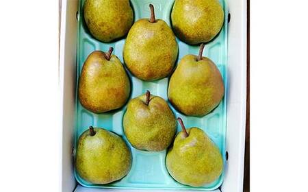 《令和7年産先行受付》※数量・期間限定※ 山形県産ラ・フランス 秀品 約3kg 8玉～14玉前後 なし ナシ 梨 デザート フルーツ 果物 くだもの 果実 食品 山形県 FSY-1871