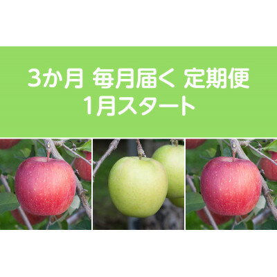 【ふるさと納税】【発送月固定定期便】〈2027年1月より順次発送〉甘味系・青森りんご約3kg 全3回【配送不可地域：離島・沖縄県】【4051691】