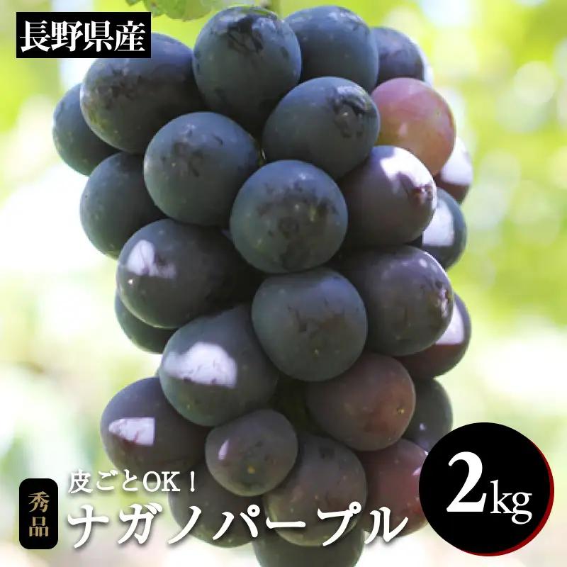 皮ごと OK! 長野県産 種なし ナガノパープル 約2kg 秀品 〈2026年8月下旬～10月上旬発送〉| 長野県 飯田市
