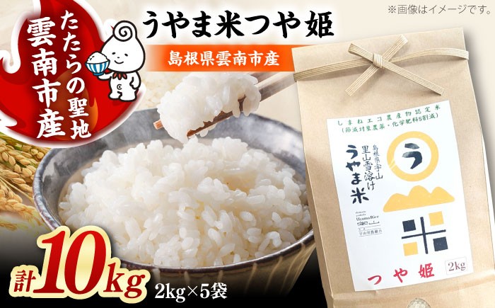 
                  お米 神話の里/吉田町「うやま米」つや姫 10kg（2kg×5）白米 精米 コメ おこめ お米 つやひめ おすすめ 人気 米 ごはん ご飯 食卓 主食 ブランド米 お取り寄せ グルメ ご当地米 家族 ファミリー 一人暮らし 便利 10キロ おいしい ごはんソムリエ 種もみ ミネラル 国産 新生活 お弁当 朝ごはん 朝食 昼食 ご当地  島根県雲南市/有限会社藤本米穀店 [AIDB088]
                