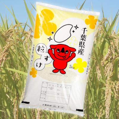 ふるさと納税 富津市 令和7年産 千葉富津産「粒すけ」10kg(5kg×2袋) 精米　かじや米店　BV-86r7b |  | 01
