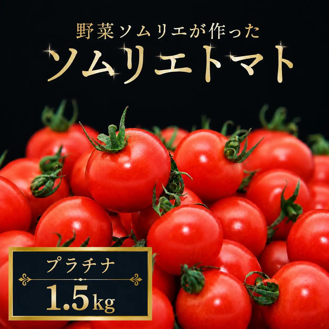 ミニトマト（プラチナ）1.5kg｜レッドアップ