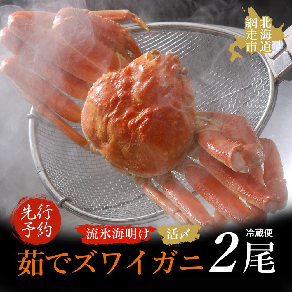 【ふるさと納税】＜先行予約＞流氷海明け活〆茹でズワイガニ（冷蔵便）【2025年4月中旬発送開始予定】【 ふるさと納税 人気 おすすめ ランキング ズワイガニ ずわいがに かに カニ 蟹 ガニ ズワイ ずわい 冷蔵 流氷明け 海鮮 オホーツク 北海道 網走市 送料無料 】 ABAO2130