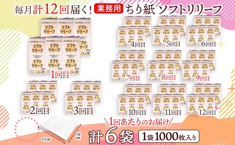 定期便 12ヵ月連続お届け ちり紙 リリーフ 1000枚×6袋 紙 無香料 ティッシュペーパー 落とし紙 ペーパー 紙 紙製品 日用品 消耗品 紙製品 ストック 備蓄 生活必需品 エコ まとめ買い ト
