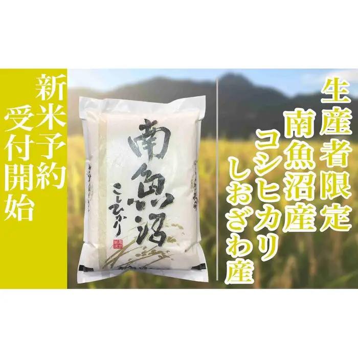 【令和8年産　新米予約】定期便３ヶ月：精米5kg生産者限定 南魚沼しおざわ産コシヒカリ【定期便 銘柄米 ブランド米 精米 こしひかり コシヒカリ 魚沼産 ごはん】【2026年10月上旬から1ヶ月以内に順次発送予定】