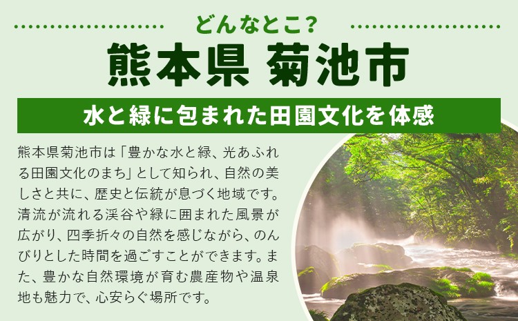 【定期便3回】野菜 10品程度 詰め合わせ