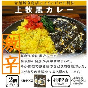 【ご当地カレー】上牧黒カレー(激辛)2個+地元米(ひのひかり)2合をセット【1446988】