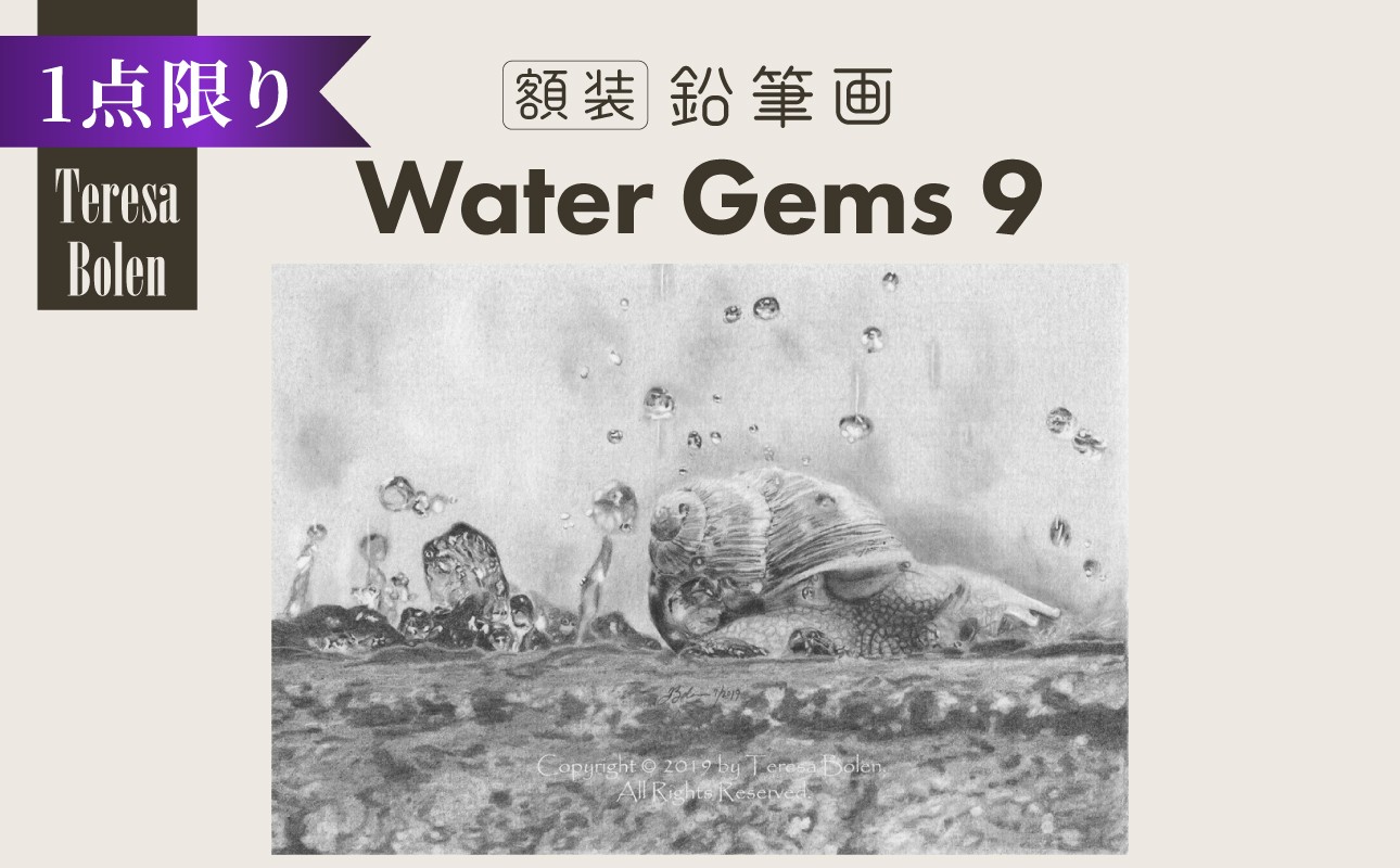 
                  鉛筆画 Water Gems 9 ふるさと納税 鉛筆画 手描き 世界に一つ Water Gems アメリカン・アート・アワード国際公募展 マスターピース賞 プレゼント インテリア アート 美術 木津川市 【104-06】
                