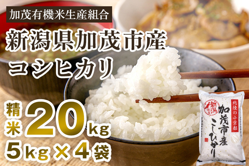 
            【令和7年産新米先行予約】新潟県加茂市産コシヒカリ 精米20kg（5kg×4） 《10月中旬から順次出荷 》 白米 加茂有機米生産組合
          