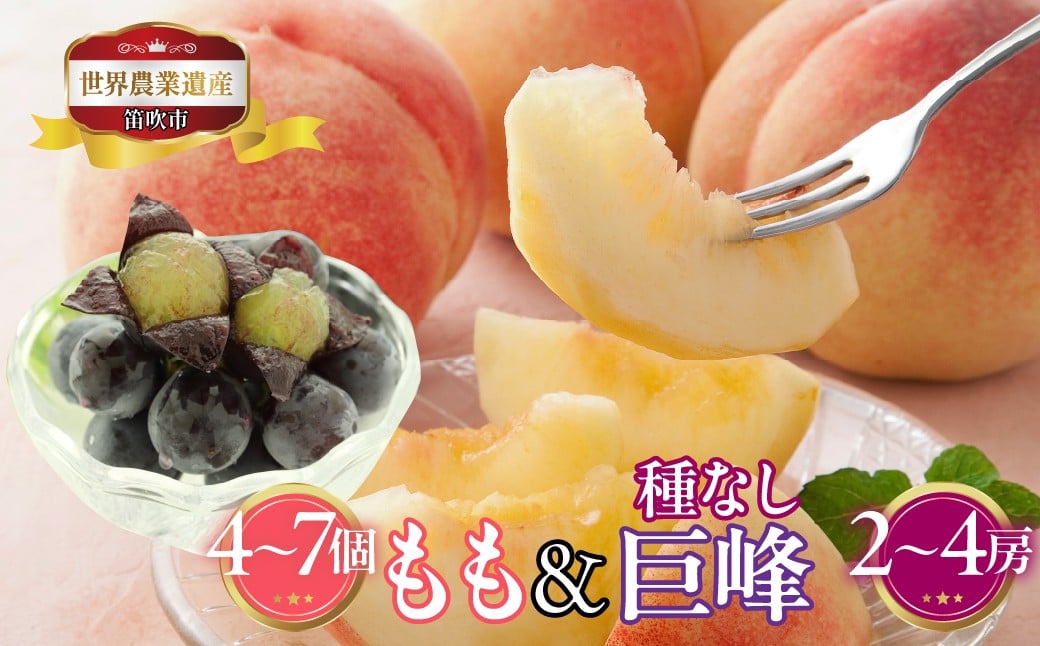 
            【2026年発送★先行予約】山梨県笛吹市産　桃(白桃)・種なし巨峰詰合せ　3kg(白桃4個～7個・種なし巨峰2房～4房) 223-019-26y|ふるさと納税 人気 おすすめ ランキング もも 桃 シャインマスカット 国産 人気 期間限定 果物 フルーツ ギフト 贈り物 プレゼント 旬 山梨県 笛吹市 送料無料
          